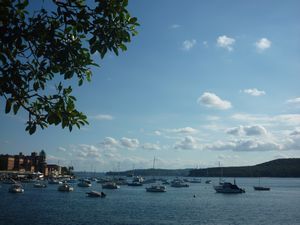 trees and boats Manly