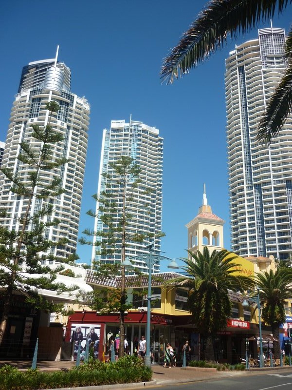 trees and high buildings Surfers Paradise