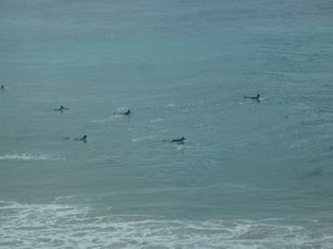 surfers in the water at the Pass Byron Bay