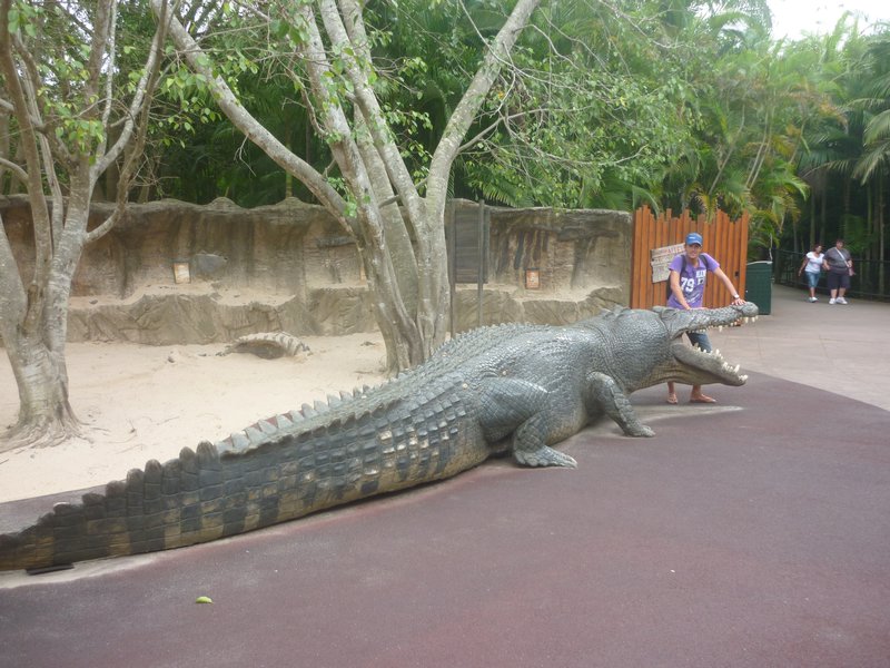 me and Cameron Australia Zoo