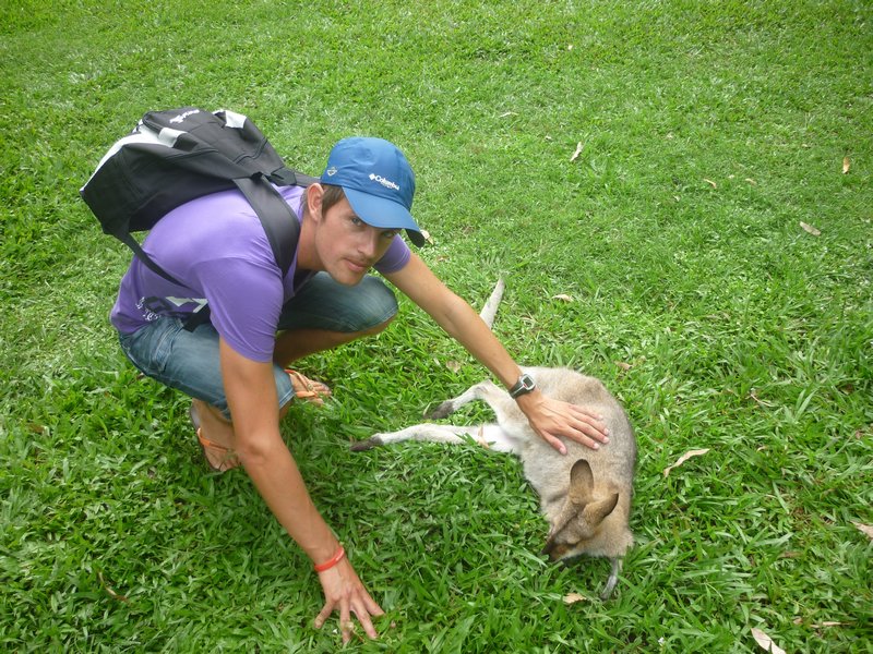 me petting a wallaby in Australia Zoo