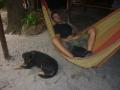 me in a hammock and a dog at Gagaju Bush Camp