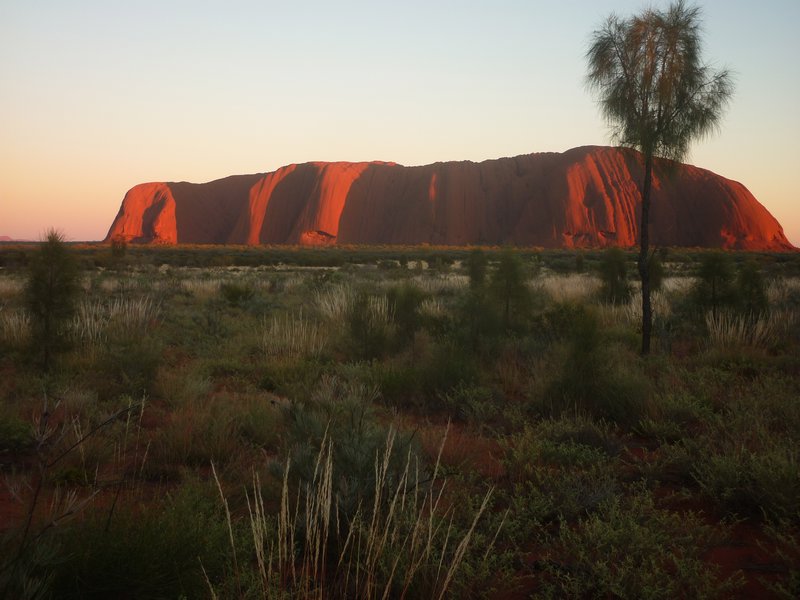 Uluru just after sunset