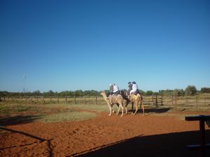 camel riding in the Outback