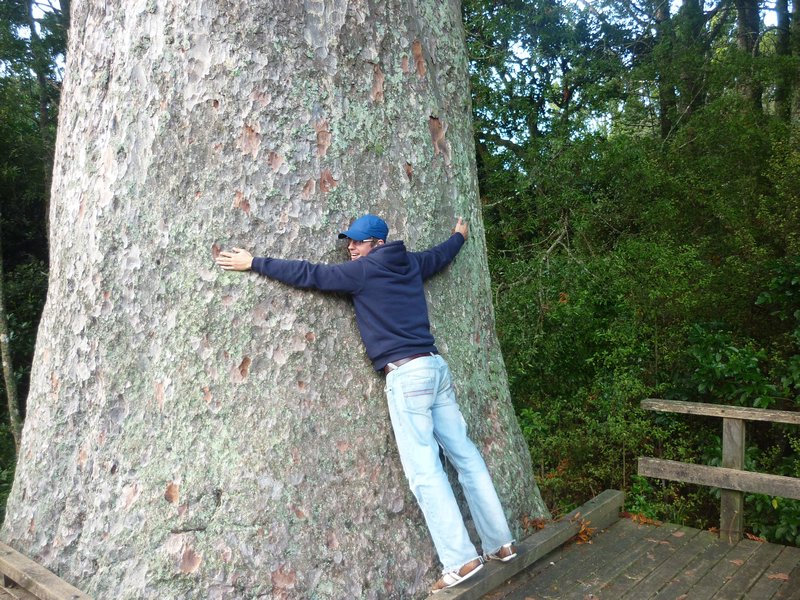 me hugging a tree