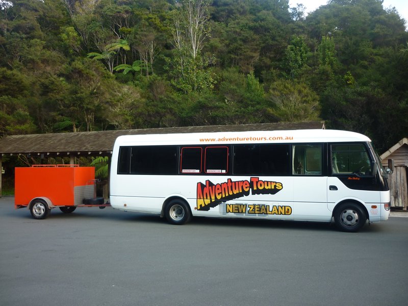 our Stray Bus to the Bay of Islands