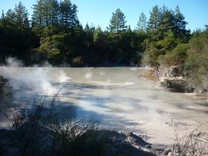 geothermal area in Rotorua