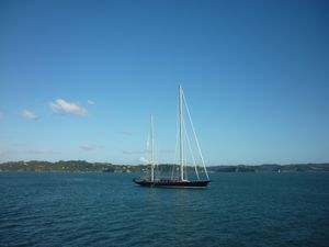 sailing boat Bay of Islands