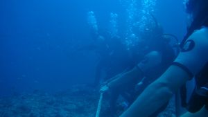 our group holding a rope under water during sharkdive in Fiji