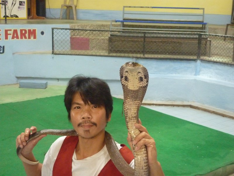 cobra right in front of my nose at Samui Snake Farm Ko Samui