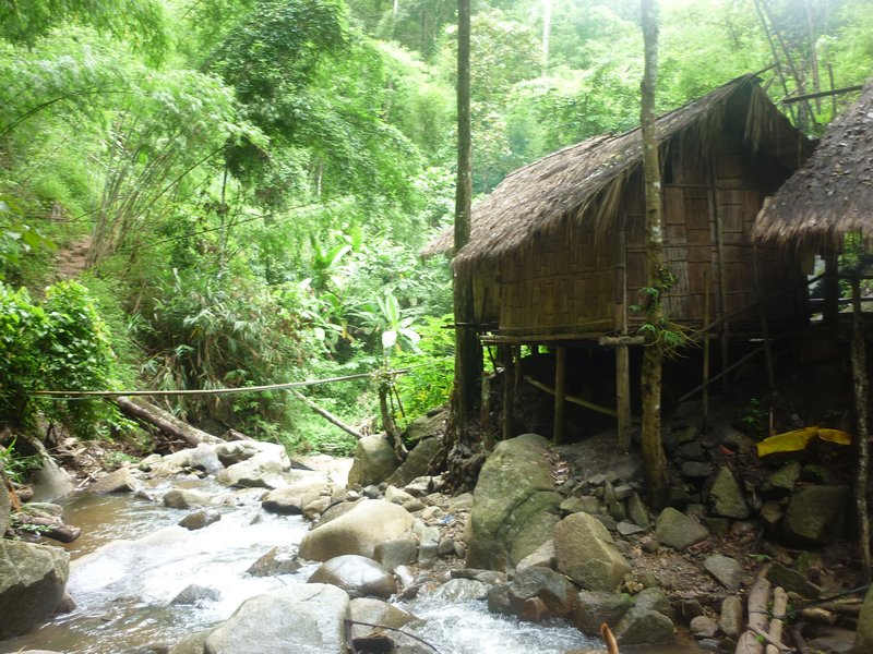 hut in the jungle Chiang Mai