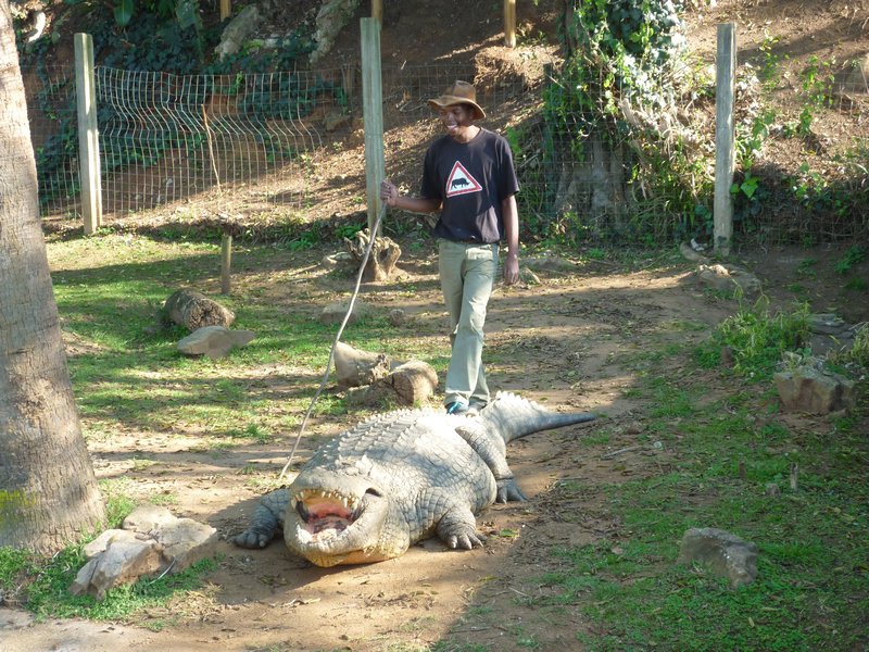 our guide and a 106-year old 6,5 meter long Nile-crocodile in Valley of 1000 hills