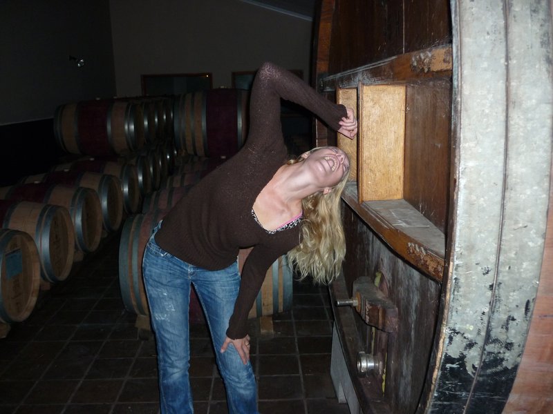 Ester and wine barrels Simonsig Stellenbosch