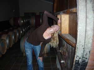Ester and wine barrels Simonsig Stellenbosch