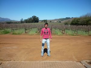 me in front of vineyards Simonsig Stellenbosch
