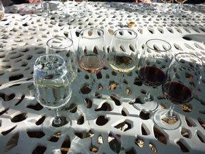 winetasting Boschendal Stellenbosch