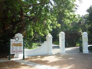 the Company Gardens Capetown