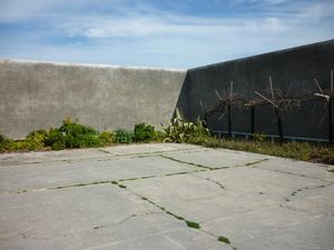Nelson Mandela's garden Robben Island