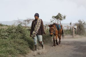 man with horse at Cemoro Lawang