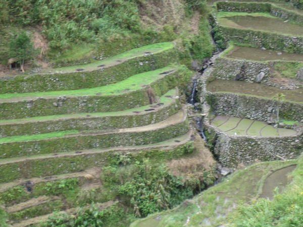 UNESCO world heritage rice terraces at Batad