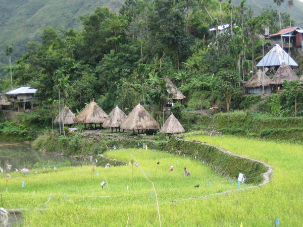 Huts in Batad village