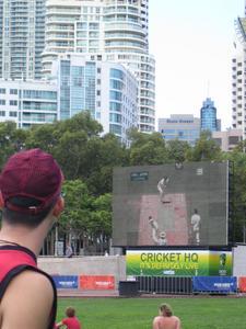 The Ashes in the park
