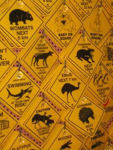 Beware...various Aussie creatures crossing