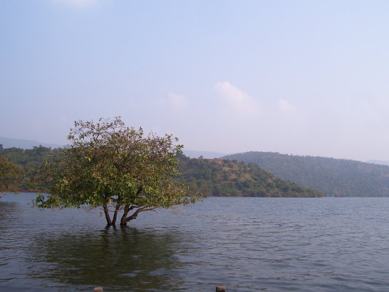 BAMNOLI-SHIVSAGAR LAKE
