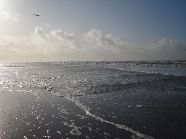 Zandvoort beach