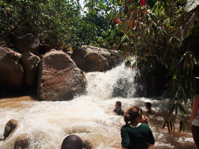 Waterfall in the jungle 