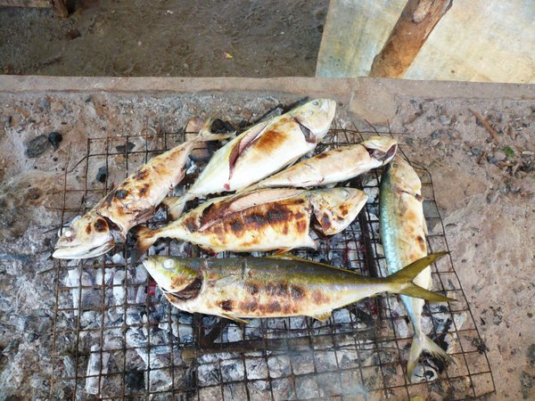 Fresh fish for lunch