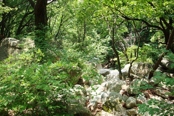 Bukhansan national park