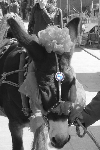 BMW donkey