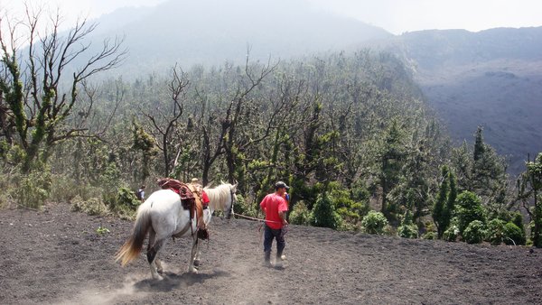 Walking down from Pacaya volcano