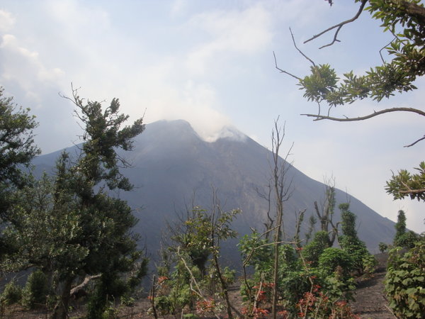 Smokin' Pacaya volcano