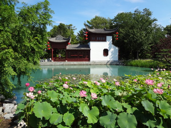 Dream Lake, Chinese garden.