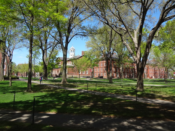 Beautiful Harvard university