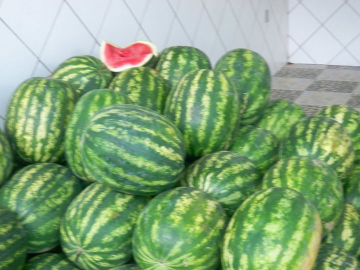 Big melons here.