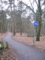 Forest cycle paths