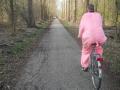 Pink bear on a bicycle!