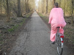 Pink bear on a bicycle!