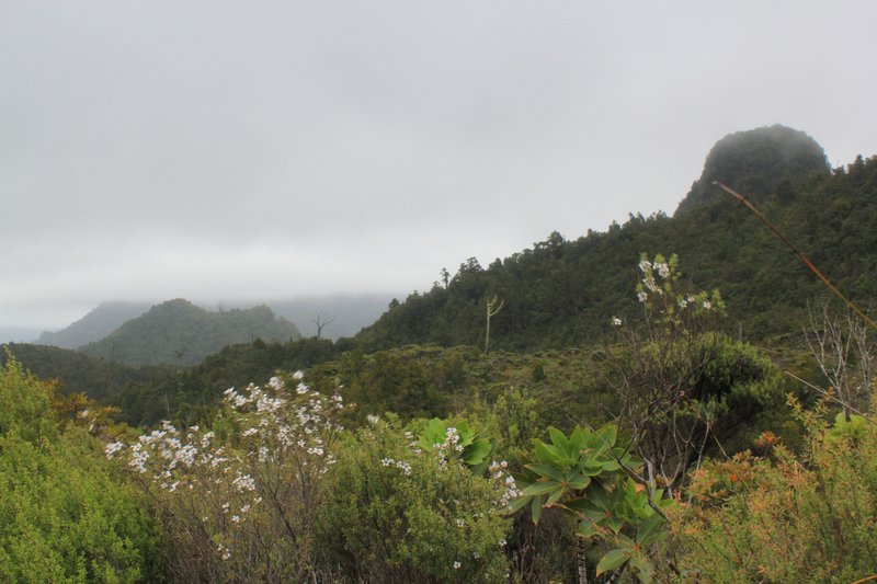 The pinnacles