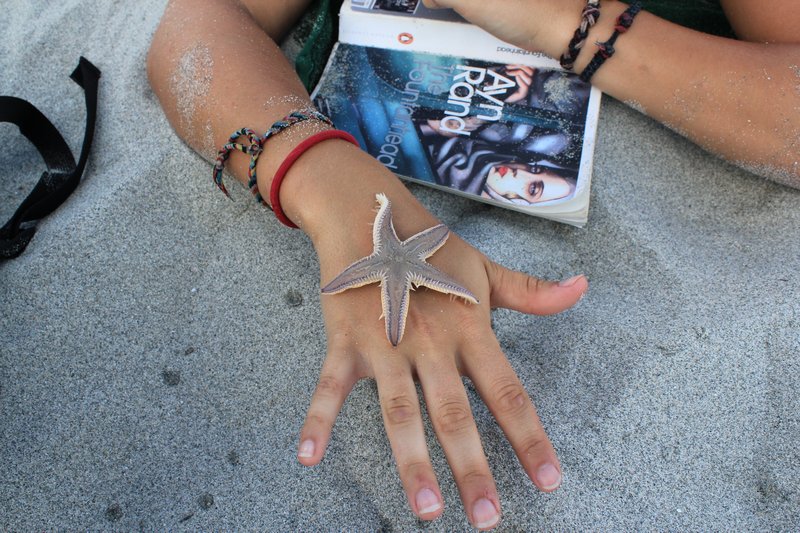 Starfish on my hand