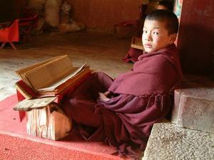 Young monk reading a script