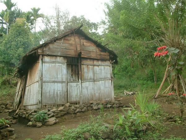 Village hut on Flores