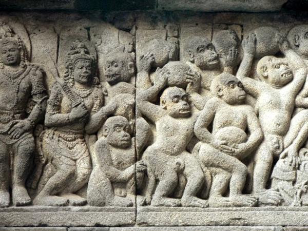Relief of the monkey army