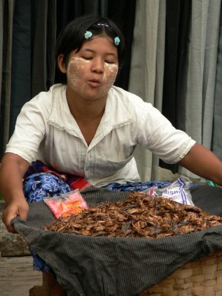 Myanmar woman selling exotic food