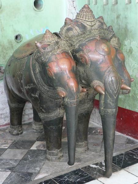 Three-headed elephant