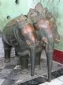 Three-headed elephant