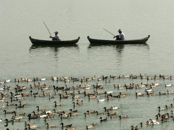 Fishing boats